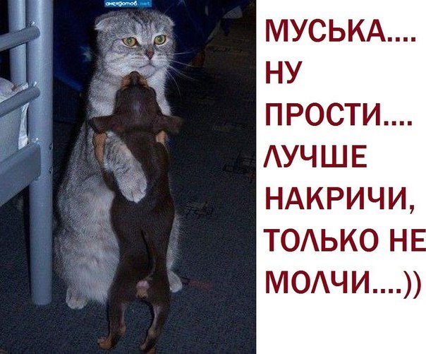 https://content.foto.my.mail.ru/community/laugh_humor/_groupsphoto/h-3688.jpg