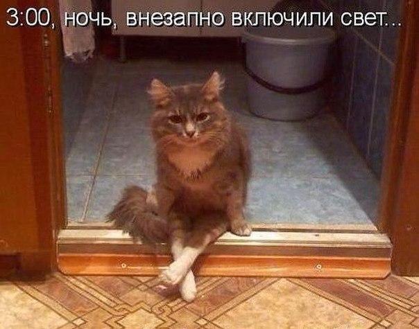 https://content.foto.my.mail.ru/community/laugh_humor/_groupsphoto/h-3842.jpg