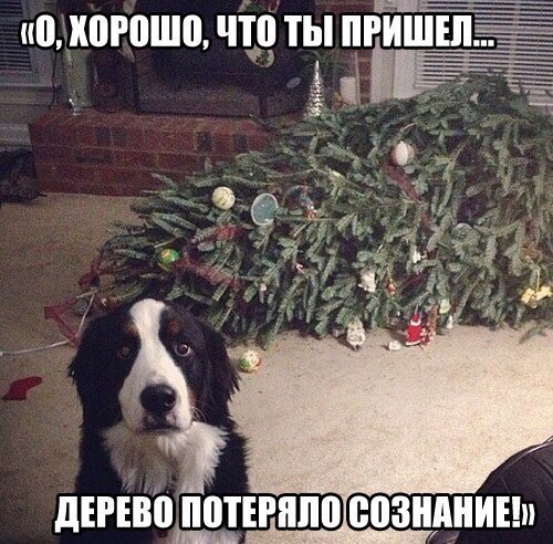 https://content.foto.my.mail.ru/community/laugh_humor/_groupsphoto/h-38745.jpg