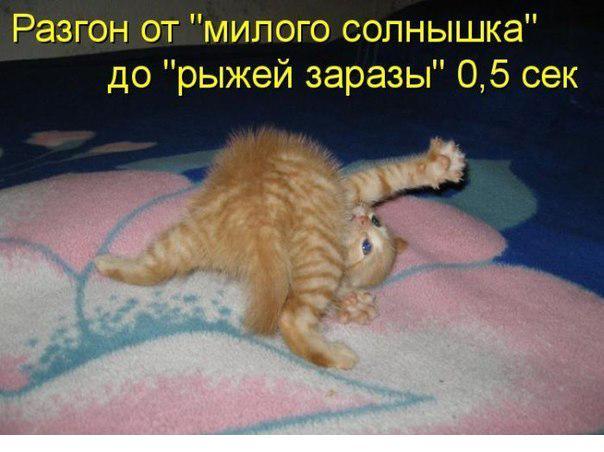 https://content.foto.my.mail.ru/community/laugh_humor/_groupsphoto/h-3949.jpg