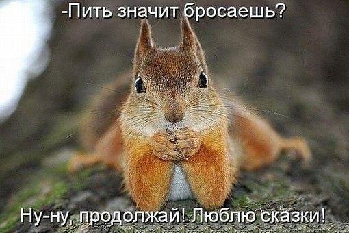 https://content.foto.my.mail.ru/community/laugh_humor/_groupsphoto/h-4873.jpg