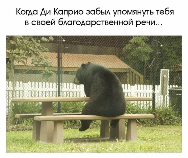 https://content.foto.my.mail.ru/community/laugh_humor/_groupsphoto/h-7031.jpg