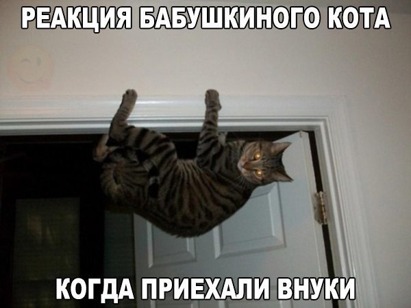 https://content.foto.my.mail.ru/community/laugh_humor/_groupsphoto/h-7407.jpg