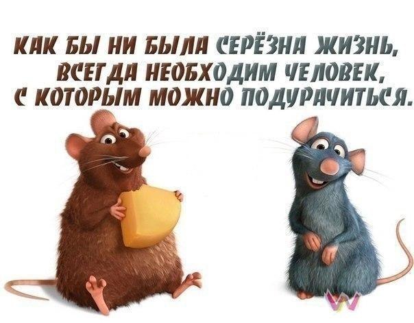 https://content.foto.my.mail.ru/community/laugh_humor/_groupsphoto/h-784.jpg