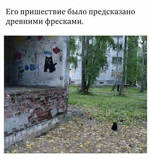 https://content.foto.my.mail.ru/community/laugh_humor/_groupsphoto/h-8976.jpg