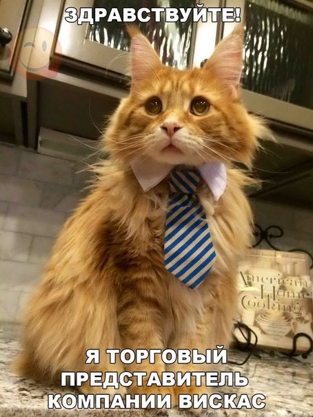 https://content.foto.my.mail.ru/community/laugh_humor/_groupsphoto/h-9560.jpg