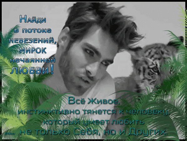 Картинка загружается...