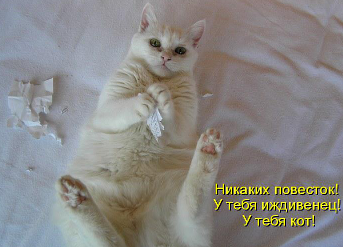 http://content.foto.my.mail.ru/community/mir/_groupsphoto/h-10725.jpg