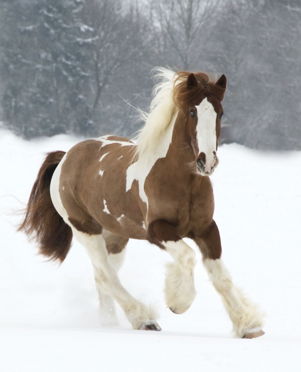 https://content.foto.my.mail.ru/community/mir/_groupsphoto/h-13088.jpg