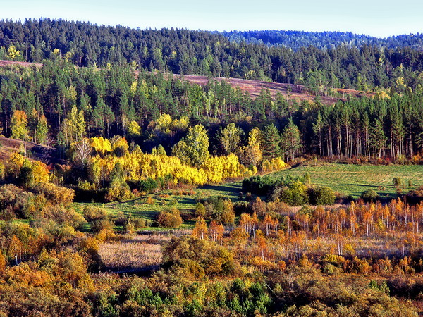 Салаирский кряж фото