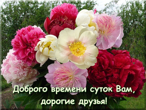 http://content.foto.my.mail.ru/community/rhfcbdstrfhnbyrb/_groupsphoto/h-13685.jpg