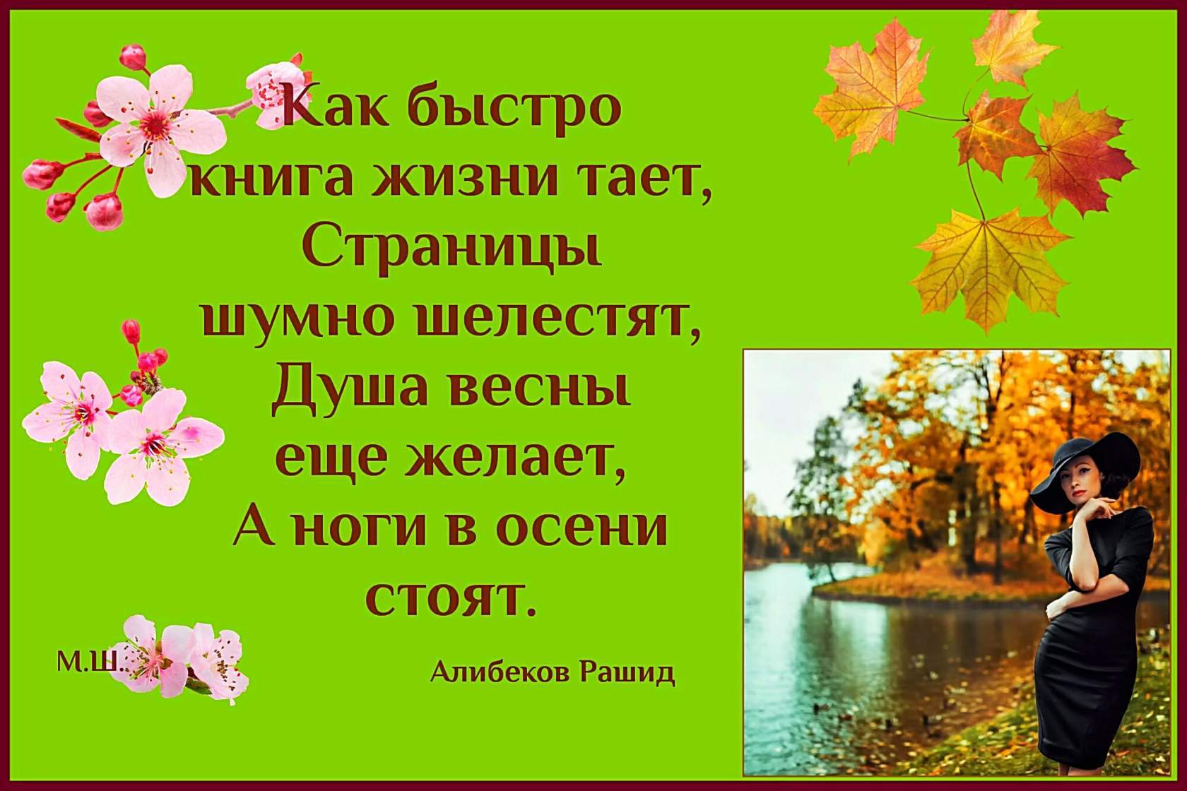 Живу и таю. Книга весны и осени. Осень и женщина очень похожи. Как быстро книга жизни тает. Как быстро книга жизни тает стихи.