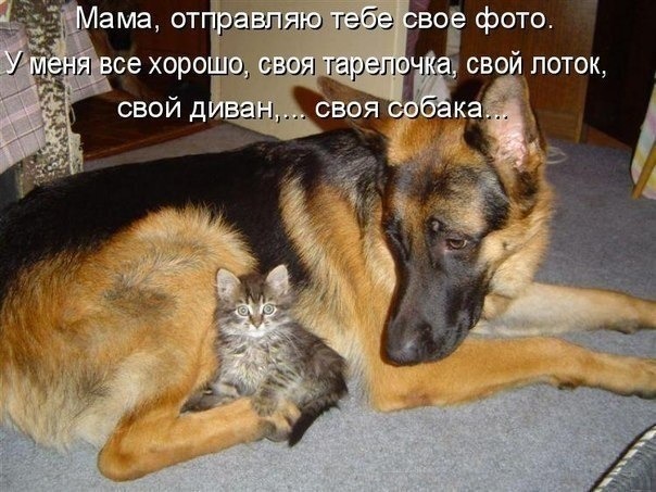 http://content.foto.my.mail.ru/community/society2/_groupsphoto/h-6710.jpg