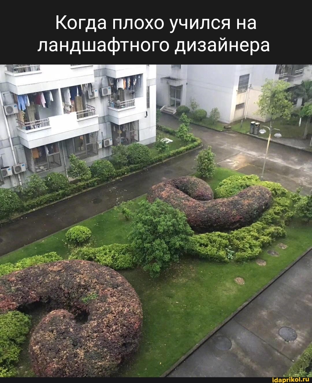 Демотиваторы свежие 2023