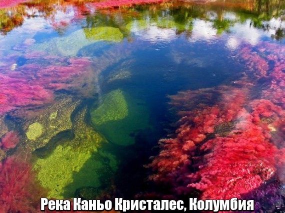 http://content.foto.my.mail.ru/community/wsiahina_105/_groupsphoto/i-6301.jpg