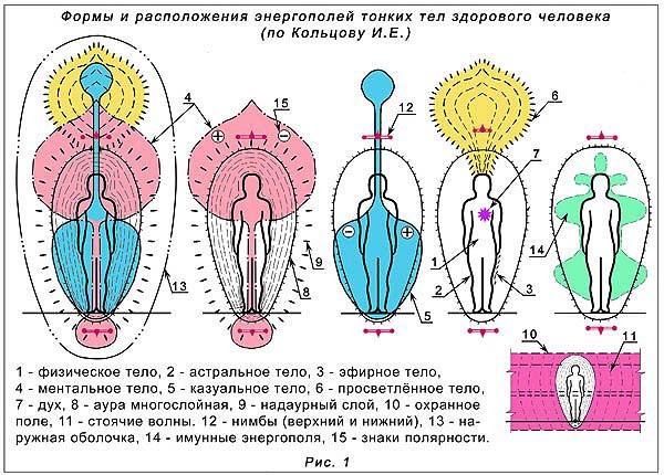 Какие оболочки тела. Астральное тело человека астральное тело человека. Оболочки тела человека энергетические. Строение тонких тел человека. Энергоструктура человека тонкие тела.