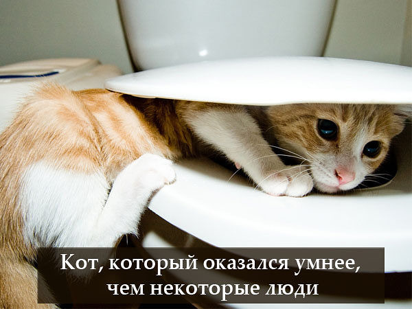 http://content.foto.my.mail.ru/inbox/erhome/_blogs/i-136.jpg