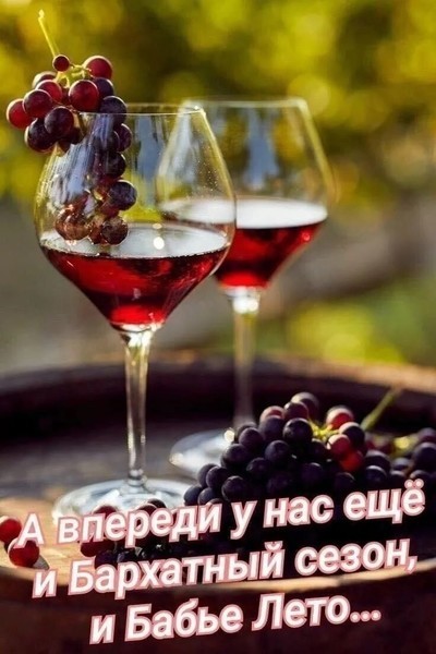 https://content.foto.my.mail.ru/inbox/kruglova-52/61266/i-61341.jpg