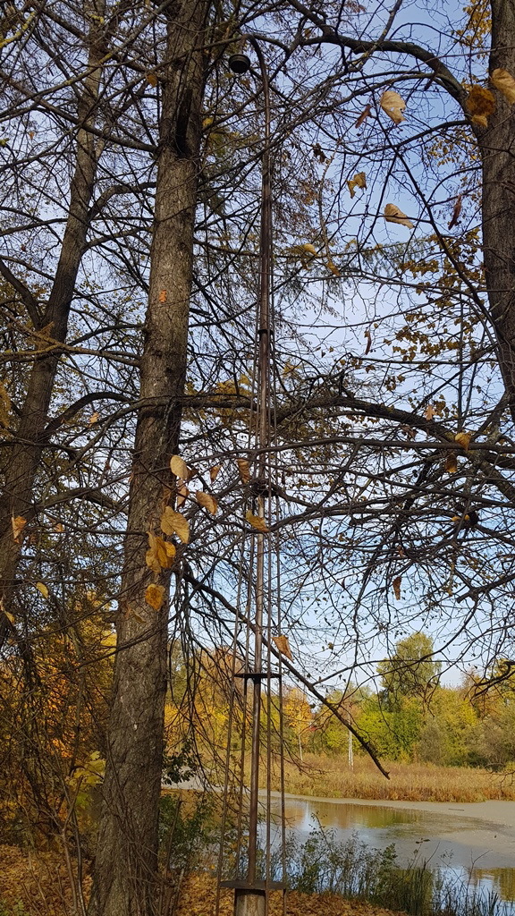 h-11186.jpg