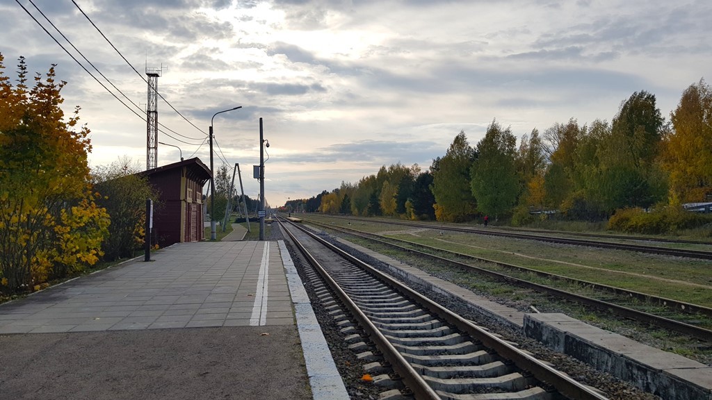 h-11253.jpg