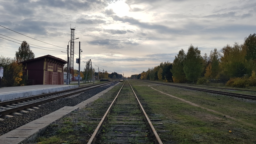 h-11254.jpg