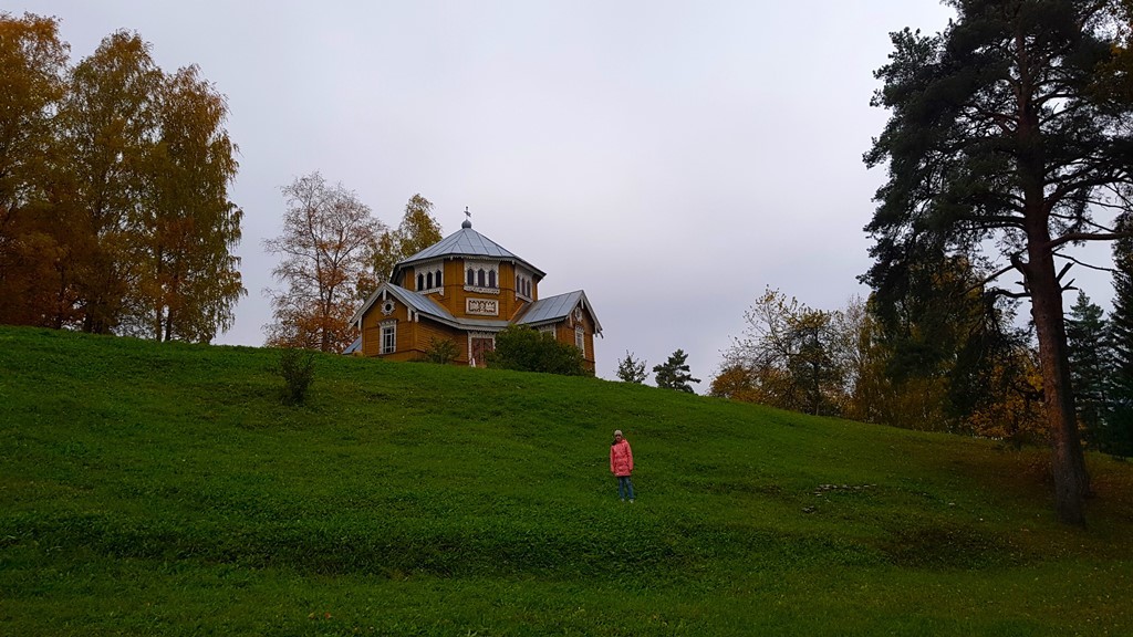 h-11300.jpg