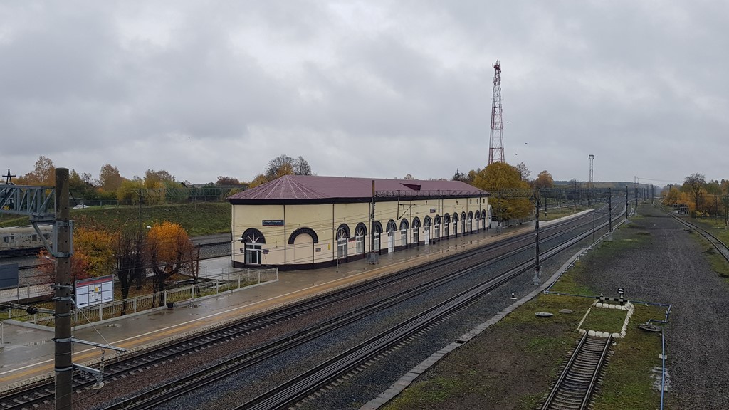 h-11321.jpg