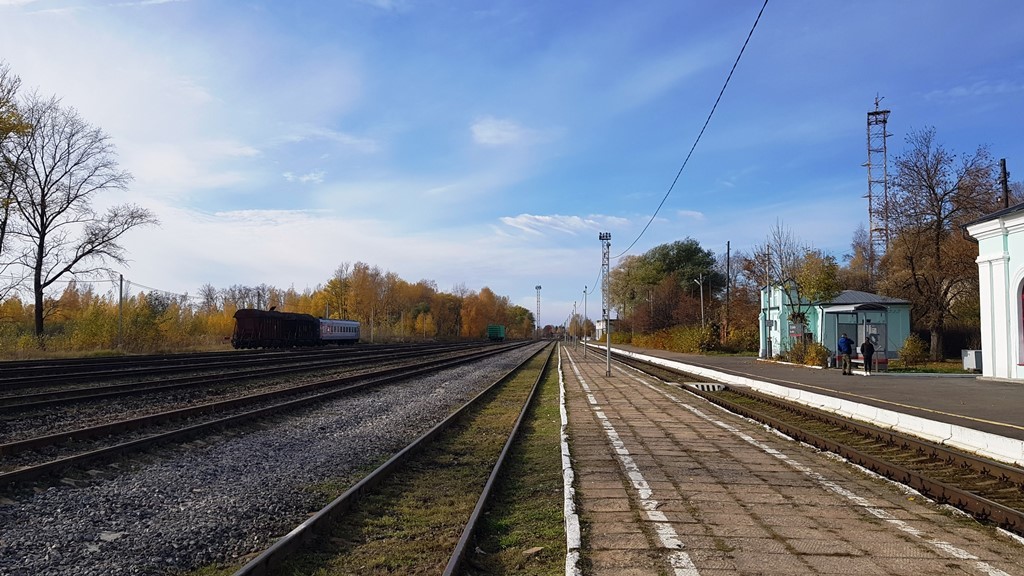 h-11402.jpg