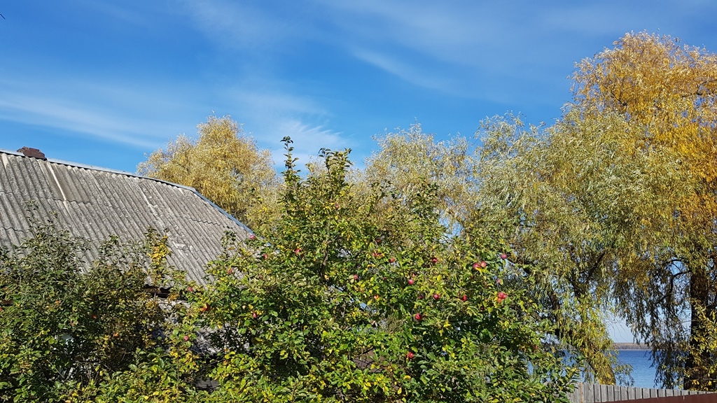 h-11420.jpg