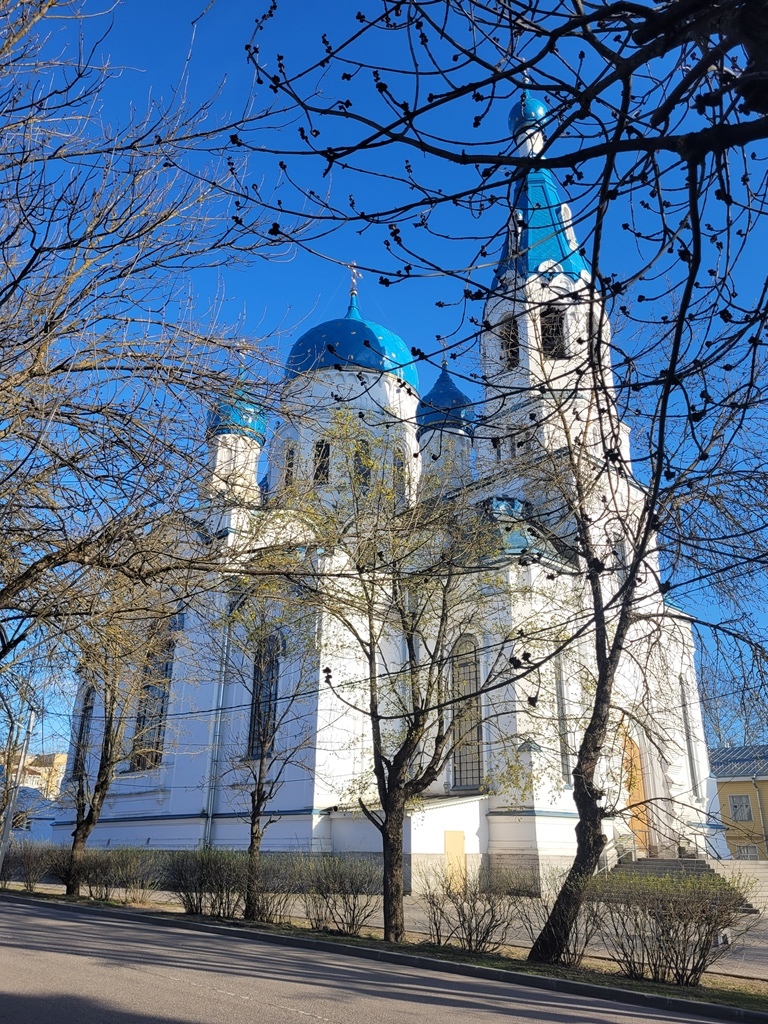 h-11641.jpg