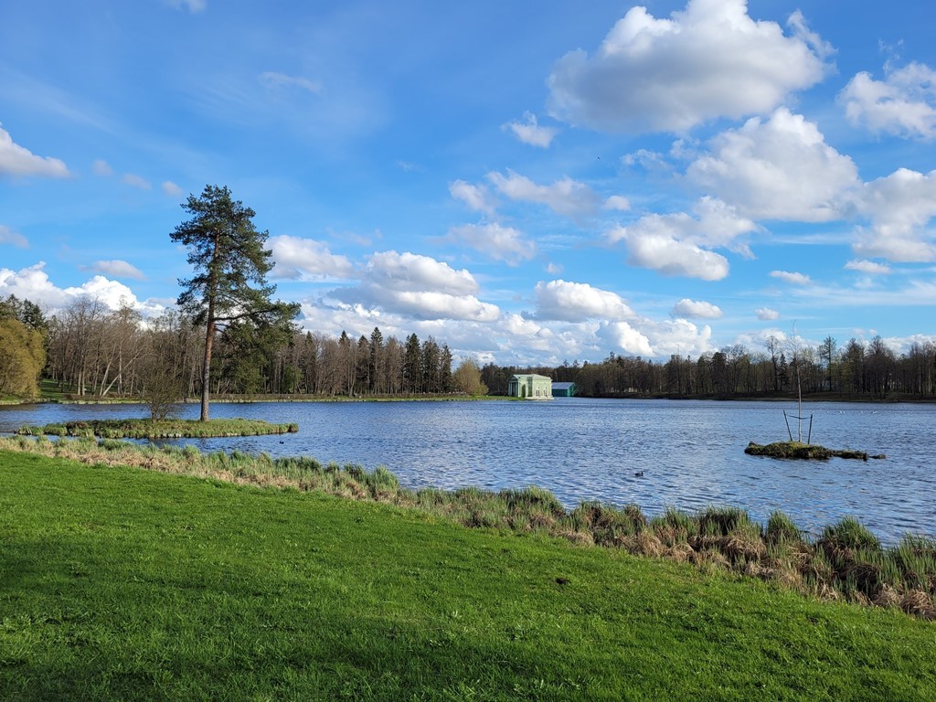 h-11811.jpg