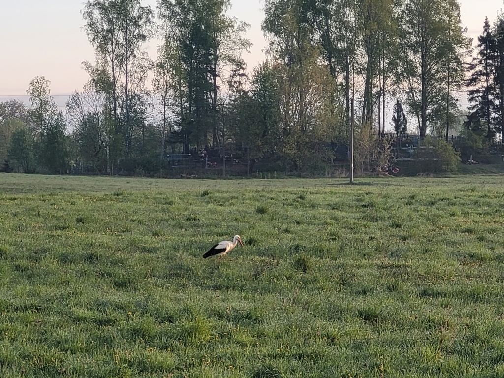 Гродно: отчет о путешествии