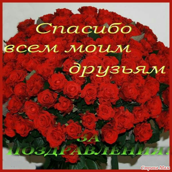 утки ныряли поздравления с днем рождения себя любимую любить этом ъ-приволжье сообщили
