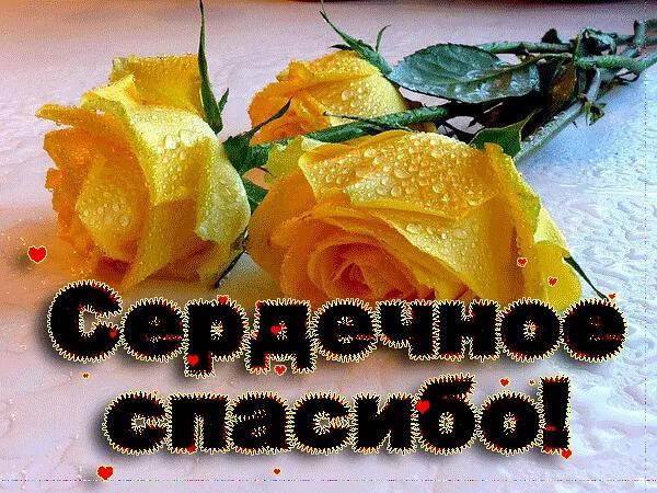 Picture background