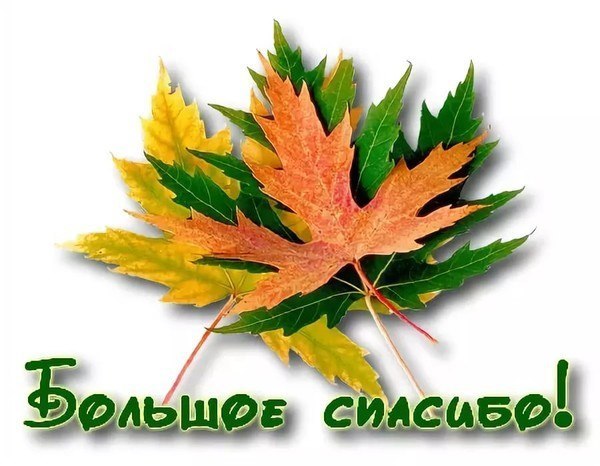 Осеннее спасибо открытки, днем