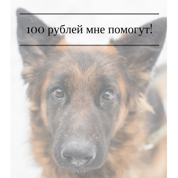 user posted image