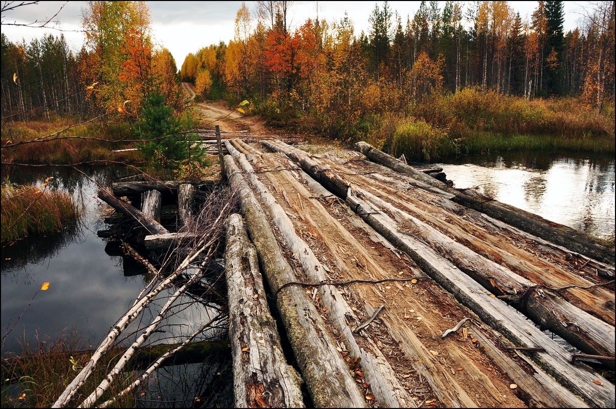 Погода в карелии дней. Челмужи леспромхоз. Челмужи деревня мост. Челмужи Валдай дорога. Новый мост в Челмужах Карелия.