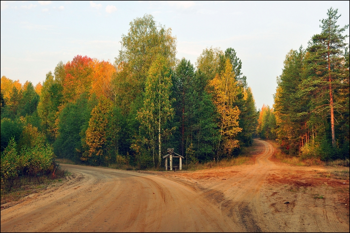 Мы вступаем в глубь леса