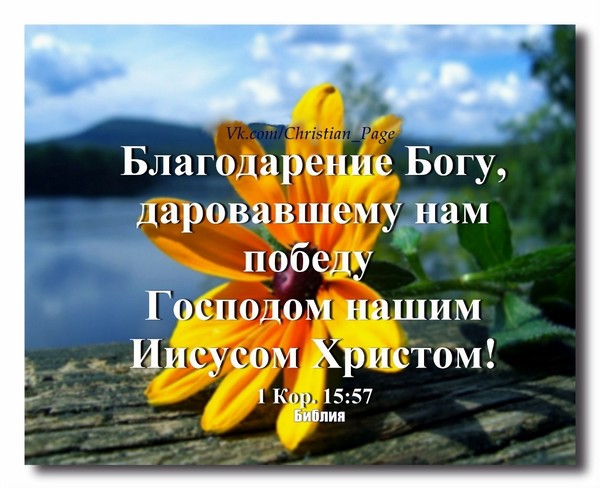 благодарение Богу