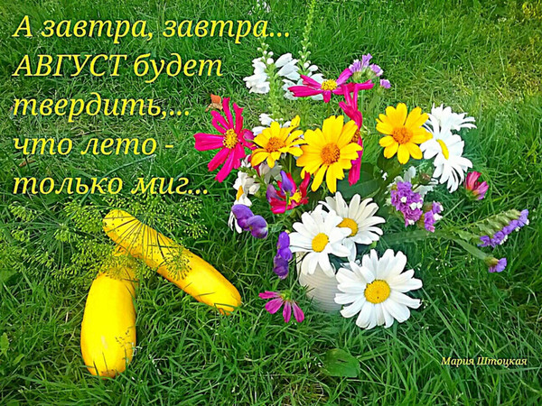 Открытки до свиданья июль, открытка день