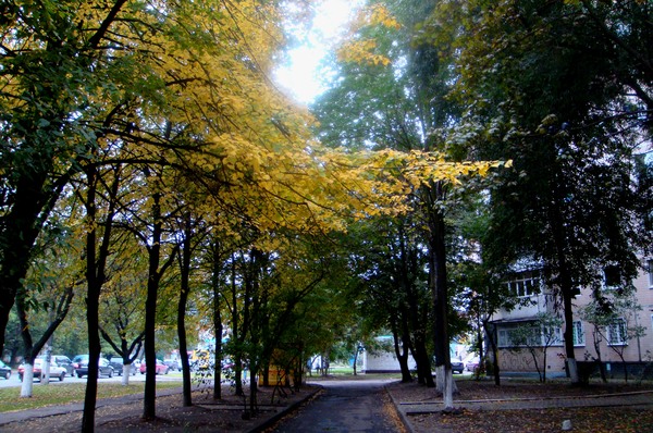Осень в городе
