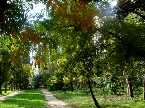 Осень 08г