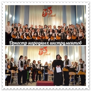 Оркестр народних інструментів Оркестр народних інструментів