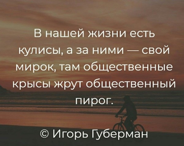 Жизнь ели. Что есть жизнь. А нашей жизни есть кулисы а за ними свой мирок. В каждой жизни есть моменты смерти. Свой мирок.