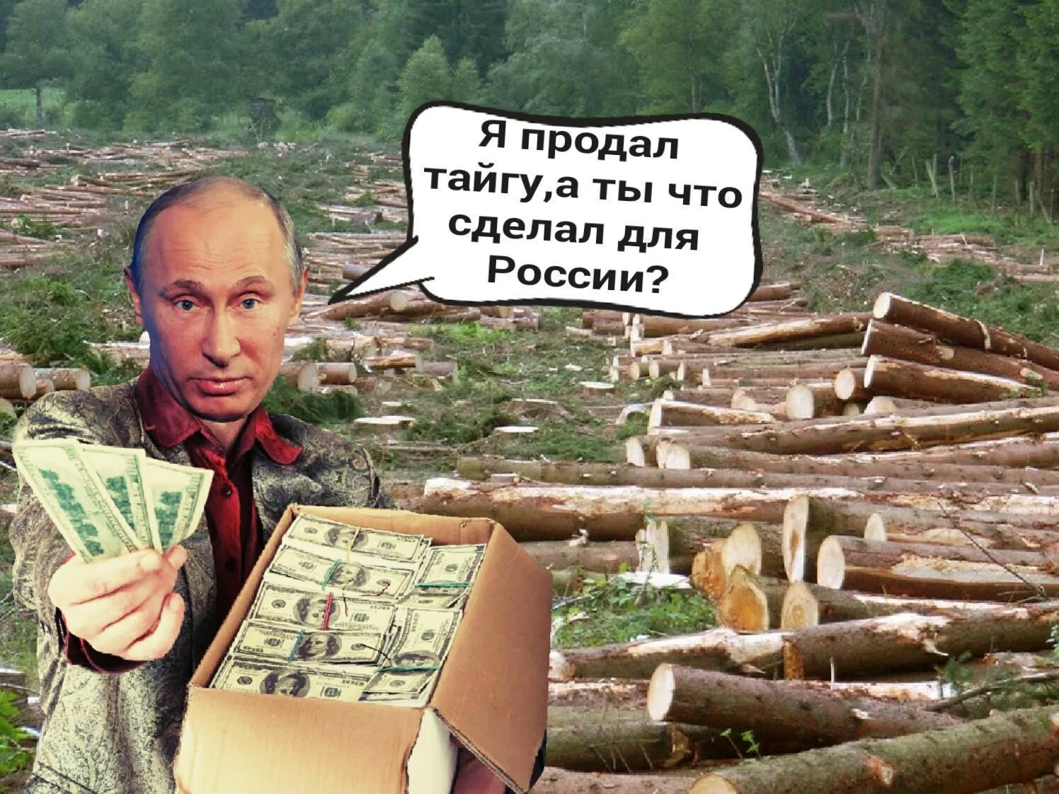 Путин сказочник картинки