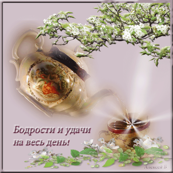 Открытку, открытки красивые и с юмором удачи на целый день