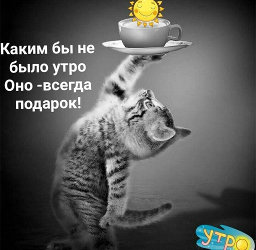 false