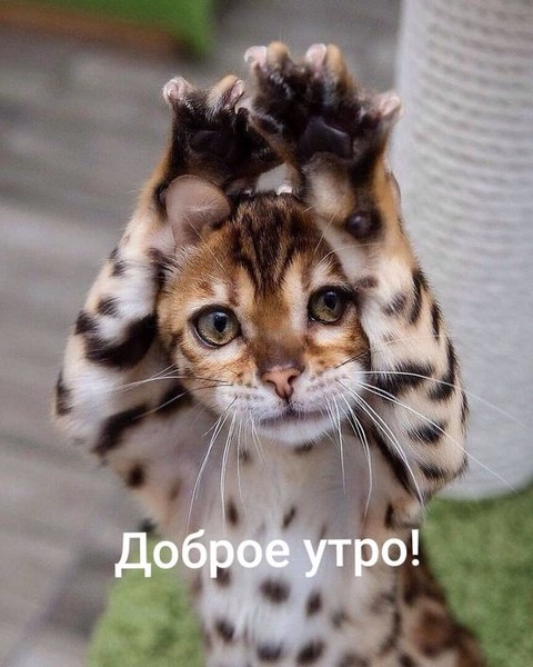 false