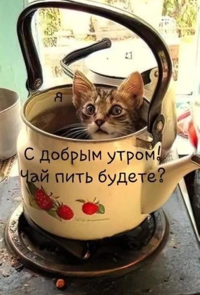 false