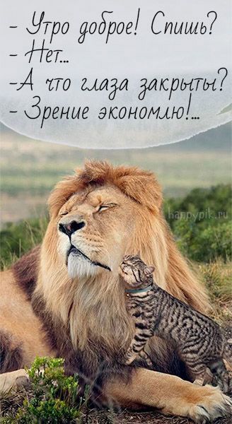 false